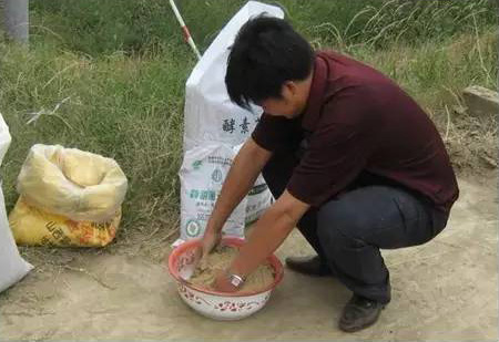 秸稈還田示范