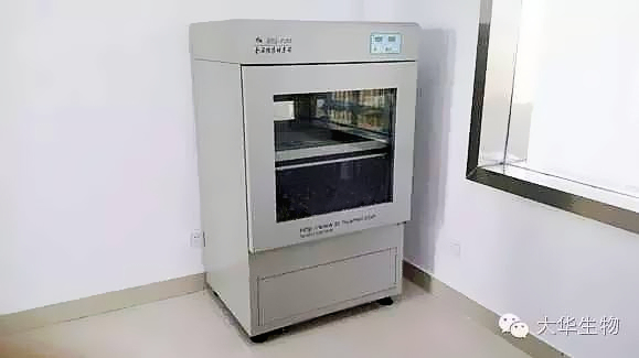 搖床